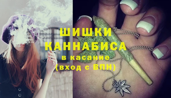 ешки Алексин