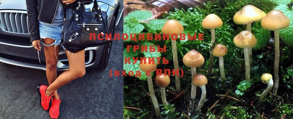 кокс Алзамай