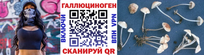 Галлюциногенные грибы Cubensis  Ухта 