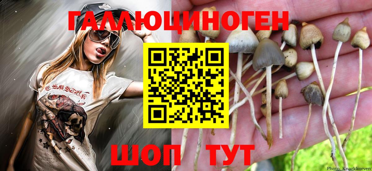 Псилоцибиновые грибы MAGIC MUSHROOMS Ухта