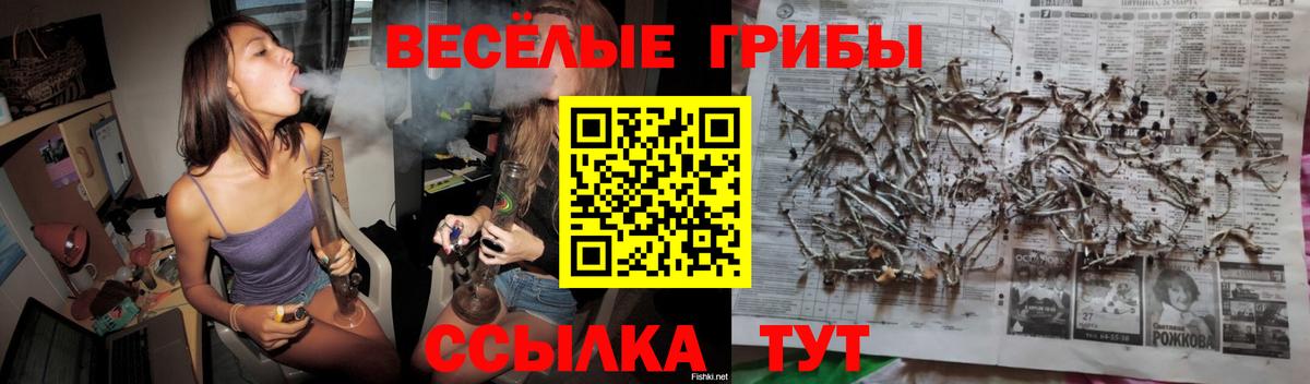 Галлюциногенные грибы Psilocybe  Вход с VPN  Ухта 